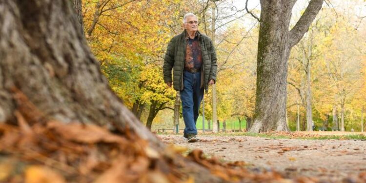Ein älterer Mann geht in einem Herbstpark.