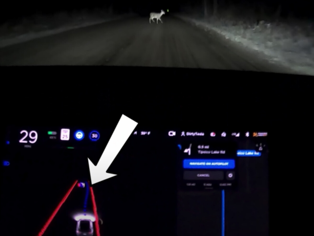 Der Autopilot des Tesla Model 3 erkennt den Hirsch und berechnet eine Alternative.  Mit vollem Erfolg.