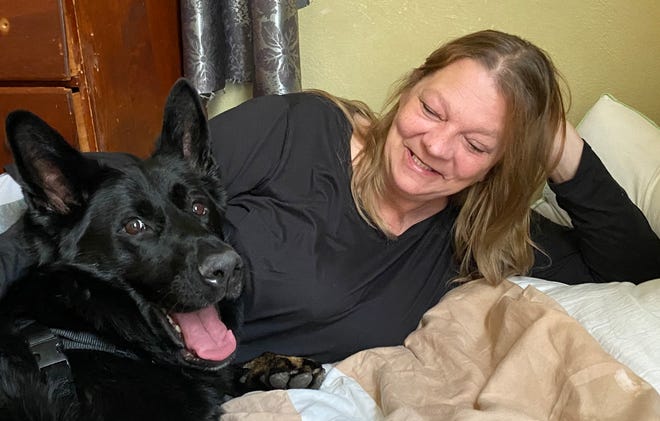 Christina Mitchell aus Perry Township und Zeus, ein deutscher Schäferhund, entspannen sich auf dem Hundebett.  Mitchell adoptierte den Hund Monate nachdem er von seinem Besitzer in der Grafschaft Stark erschossen und misshandelt worden war.