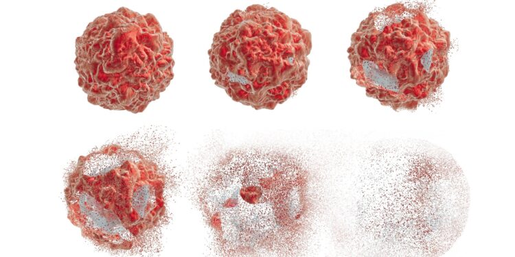Krebszelle in sechs Stadien der gesamten Zelle, wenn sie sich auflöst.