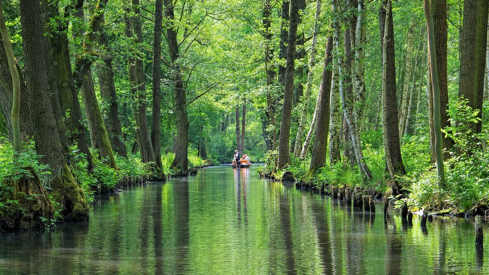 Der Spreewald ist eine Unesco-Biosphäre mit 47.500 Hektar Wiesen, Wäldern und Kanälen mit wenigen Straßen (Bild: LianeM / Getty Images)