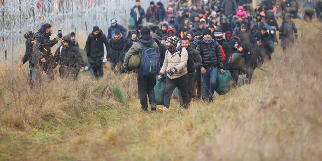 Migranten laufen am Freitag, den 12. November 2021, entlang Stacheldraht, als sie sich an der weißrussisch-polnischen Grenze in der Nähe von Grodno, Weißrussland, versammeln. (Pool-Foto Leonid Shcheglov / BelTA via AP)