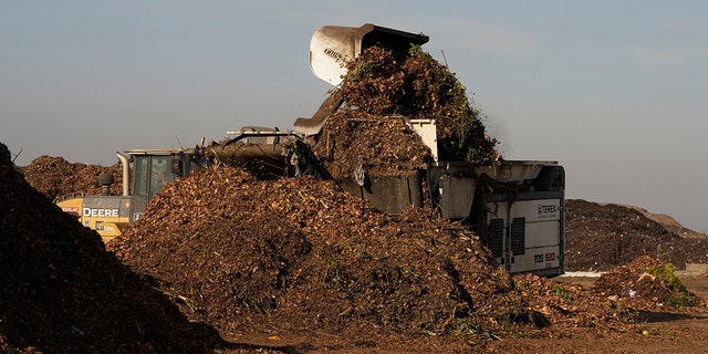 Gartenabfälle werden zusammen mit anderen kompostierbaren Gegenständen in der anaeroben Kompostieranlage der Yolo County Central Deponie in Woodland, Kalifornien, am Dienstag, den 30. November 2021, in eine Mühle gekippt.