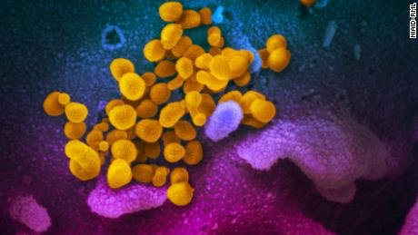 Die neuesten Nachrichten zur Coronavirus-Pandemie und der Omicron-Variante