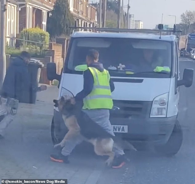 Wütender Autofahrer mit Warnschutzjacke benutzt seinen knurrenden Hund, um seinen Rivalen einzuschüchtern