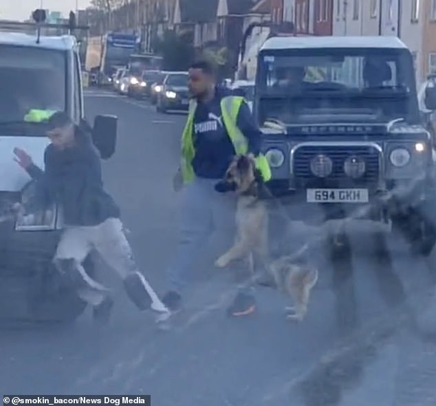 Der junge Van-Fahrer rannte um sein Fahrzeug herum, um dem Hund zu entkommen