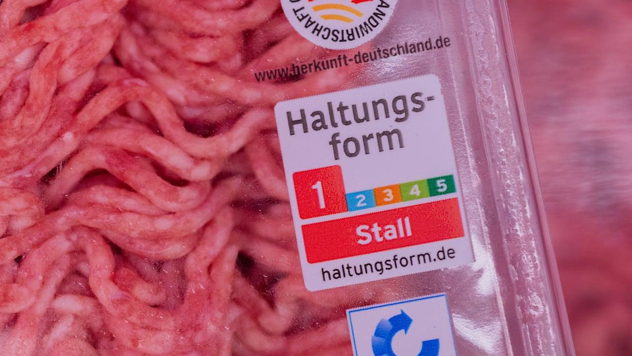 Erster Rabatt, um billiges Fleisch zu verlieren | Leben und Wissen |