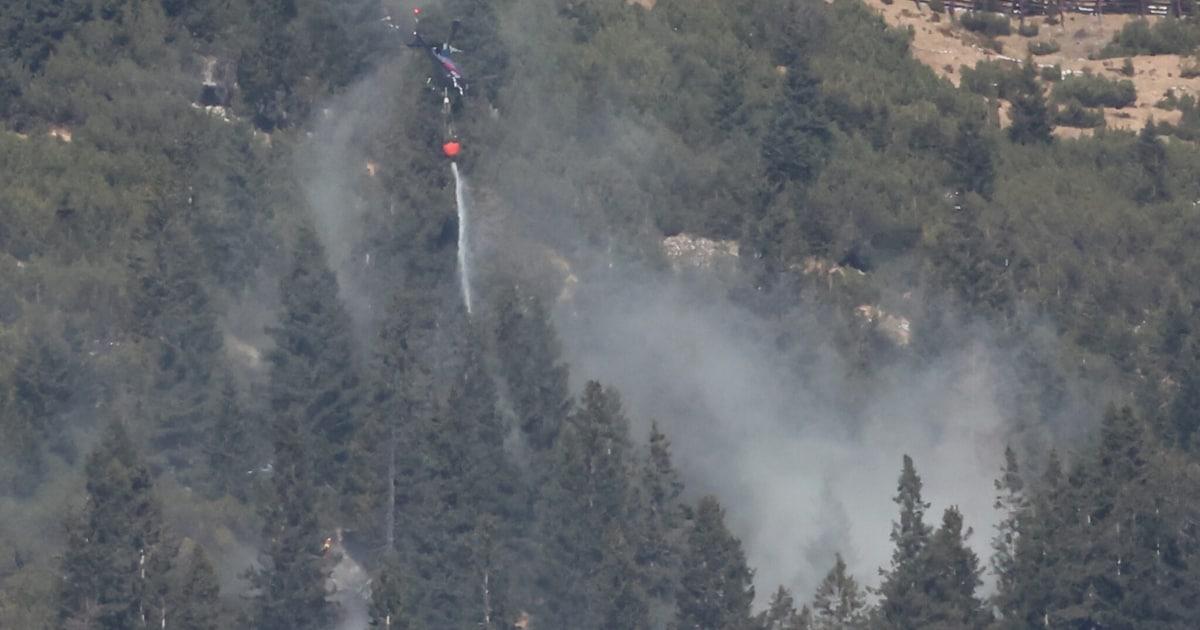 Extinguishing takes time - Nordkette: Boy (12) starts fire with flare