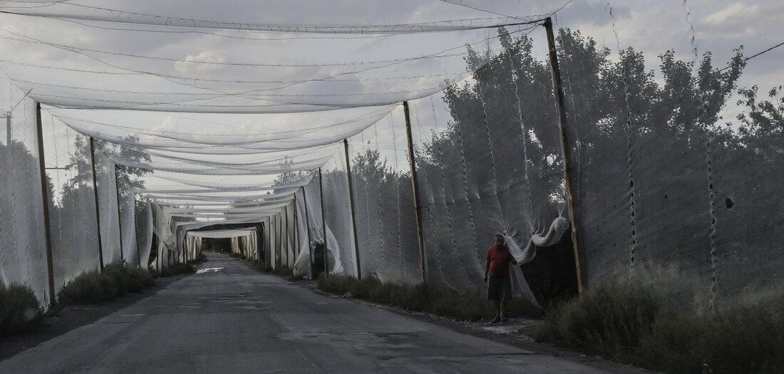 Ukrainische Kriege: Come: Kreml - Daily Gazeta Junge Welt, 26.08.2025