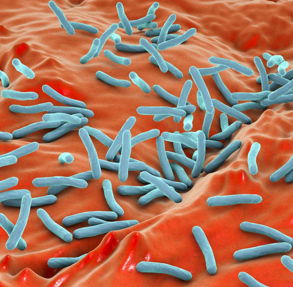 Computergeneriertes Bild der stäbchenförmigen Tuberkulose-Erreger (Mycobacterium tuberculosis bacteria)