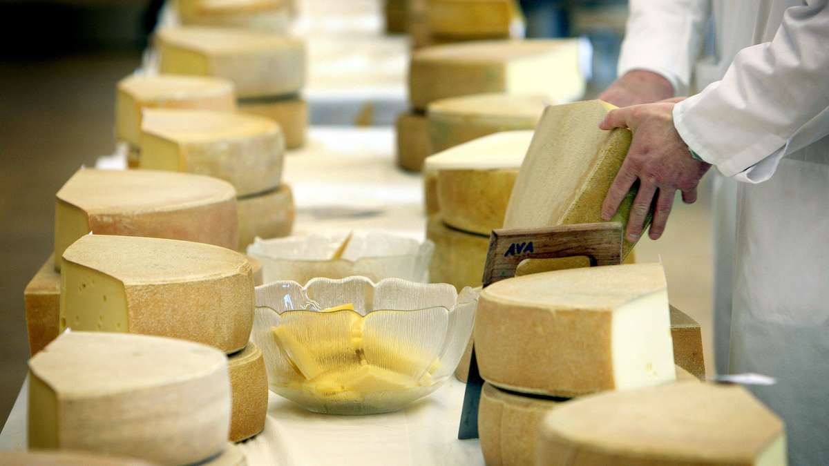 Dringender Käse-Rückruf: Innere Verletzungen drohen - Unternehmen und Discount-Riese reagieren sofort