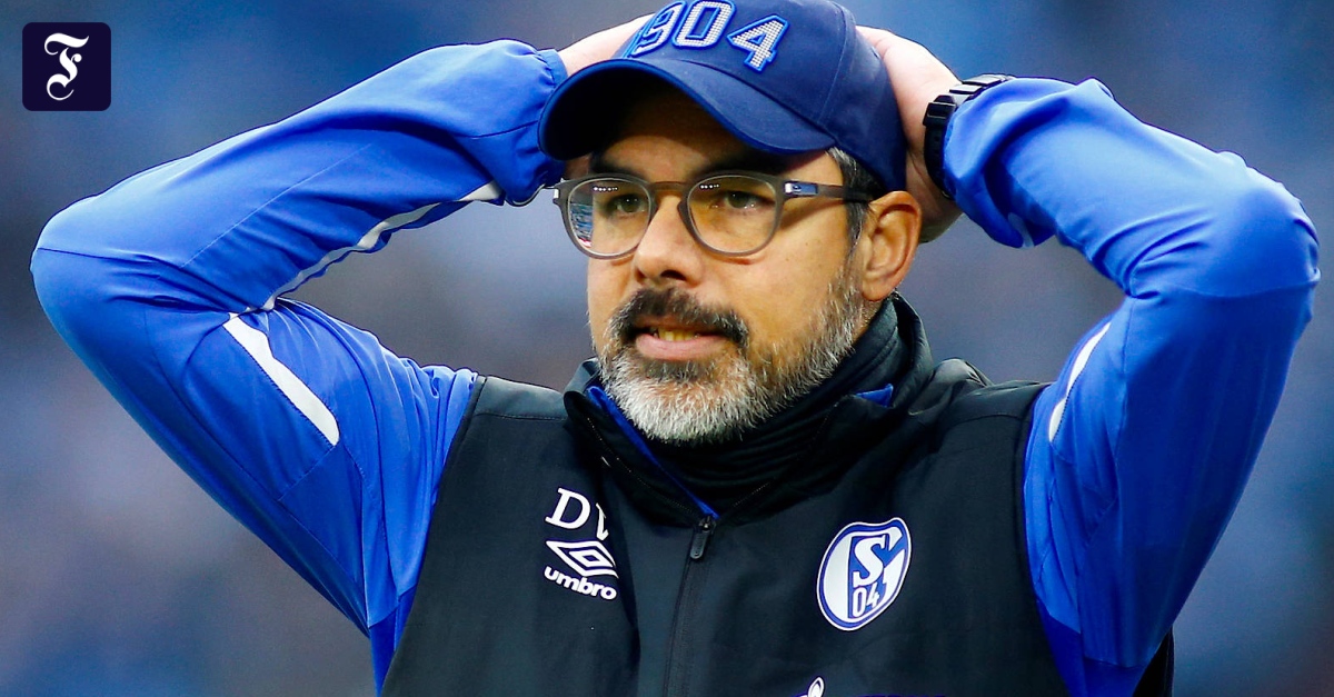 Schalke 04 kritisierte BFV zu Schweinfurt und Türkgücü