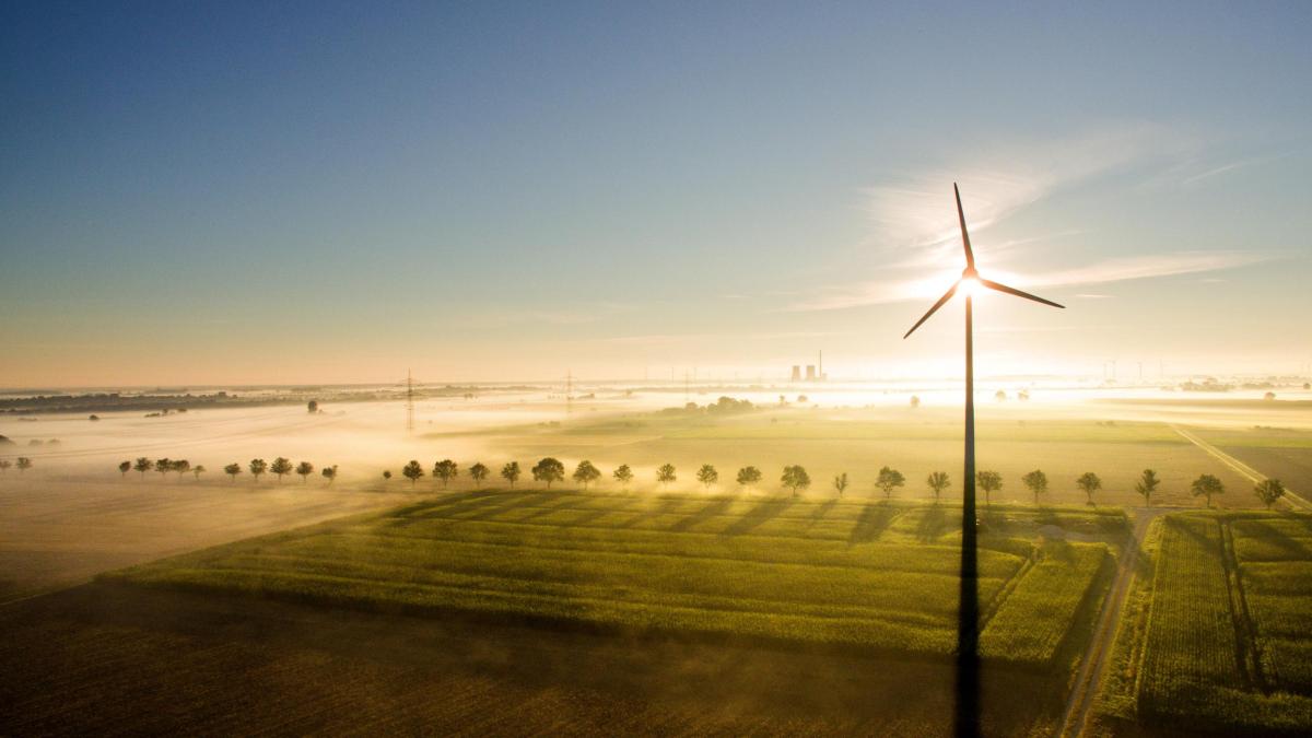 Erneuerbare Energien: Das Gesetz soll Ökostrom einen besonderen Status verleihen