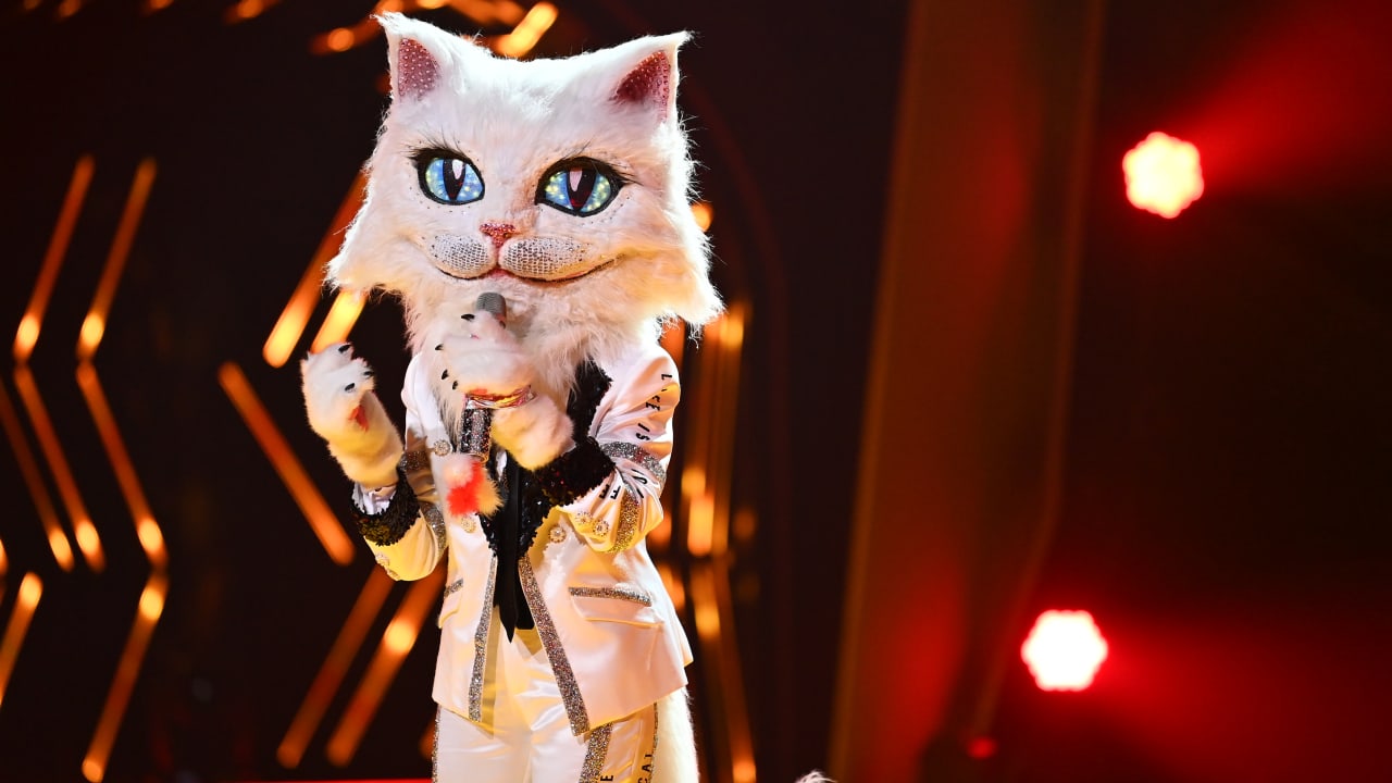 "Masked Singer": Diese Katze singt seit über 50 Jahren - TV