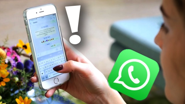 Neue WhatsApp-Funktion kommt: Chats ändern sich so drastisch