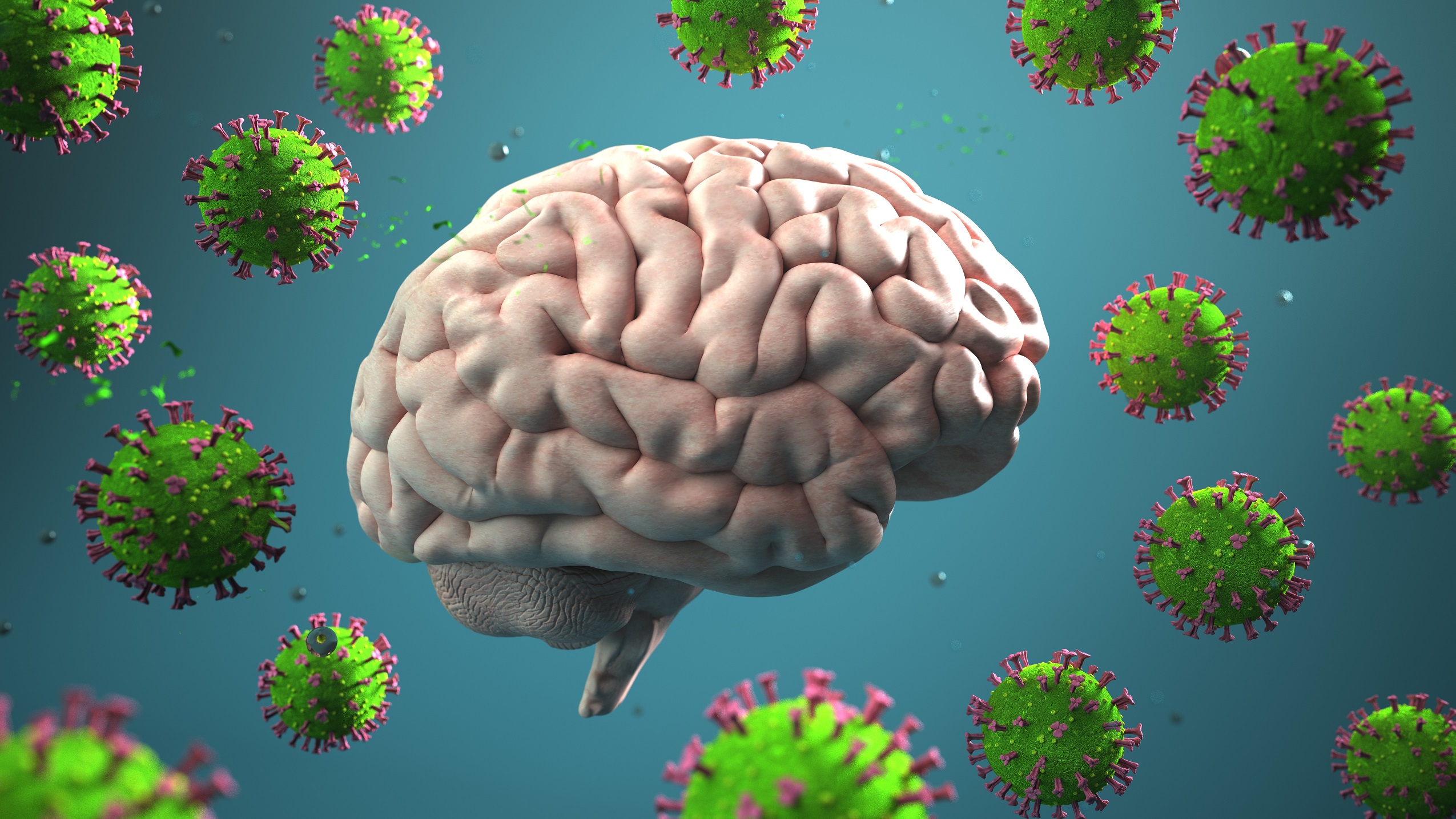 Das SARS-CoV-2-Coronavirus erreicht auch das Gehirn - was sind die Konsequenzen?  - Heilpraxis