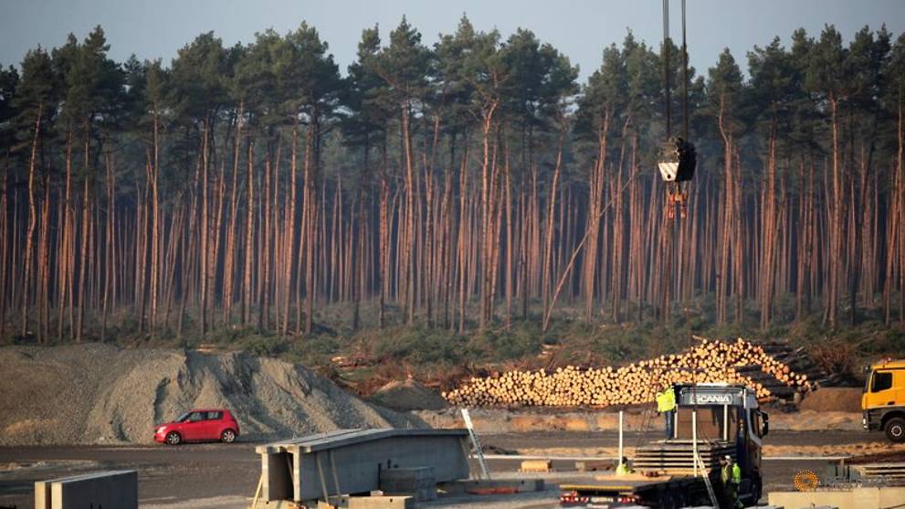 Das deutsche Gericht ermächtigt Tesla, den Wald teilweise für eine neue Fabrik zu roden