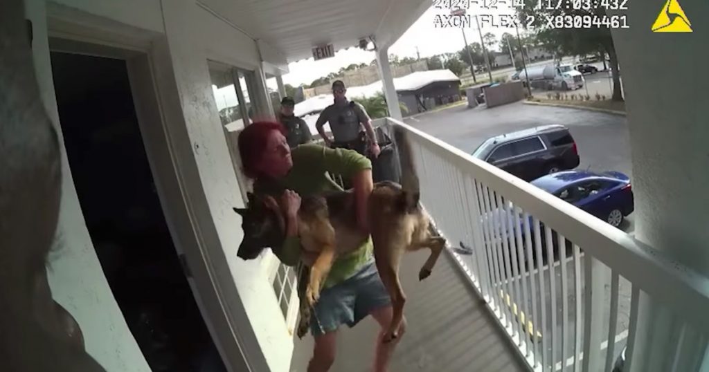 Deutscher Schäferhund OK, nachdem der Besitzer sie vom Motelbalkon in Florida geworfen hat