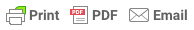 Druck-, PDF- und E-Mail-Version