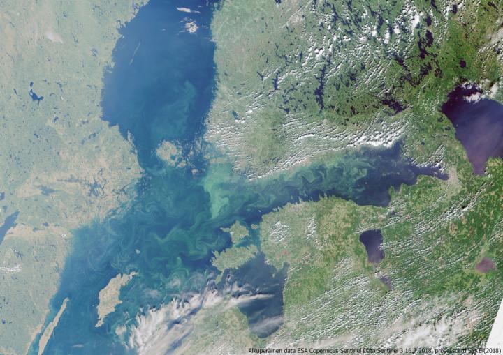 Forschung: Staaten, die gegen die Ostseekonvention verstoßen, Verschmutzung der Meeresumwelt