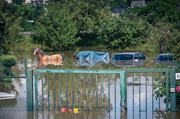 Kutschen und eine Pferdesilhouette sind am Donnerstag in Hattingen, Deutschland, bei Überschwemmungen überflutet. 