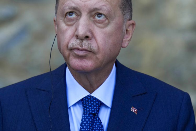 Erdogan ordnet die Entlassung von 10 Botschaftern an, darunter der amerikanische Gesandte |  Nachrichten, Sport, Jobs