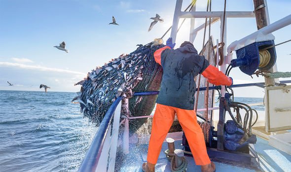 Der Planet: Viele argumentieren, dass die Fischerei mit Supertrawlern nicht nachhaltig ist
