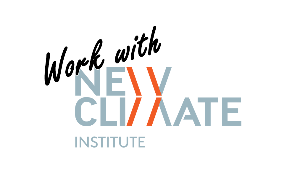 Praktikum (R-IN2109) - NewClimate Institute