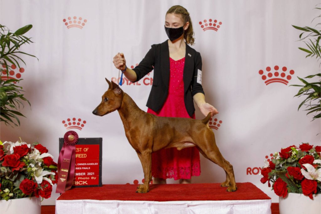 HURRICANE RIDGE KENNEL CLUB: Lokale Hundebesitzer gewinnen Preise bei nationalen Meisterschaften