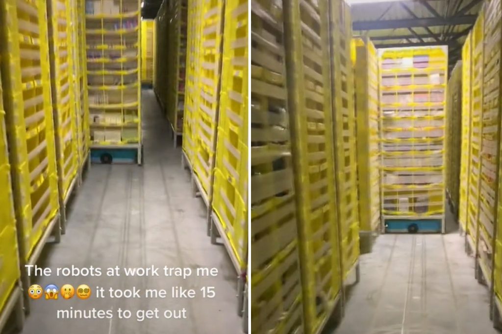 Ich bin ein Amazon-Mitarbeiter und wurde „von ROBOTS in einem Lagerhaus gefangen“