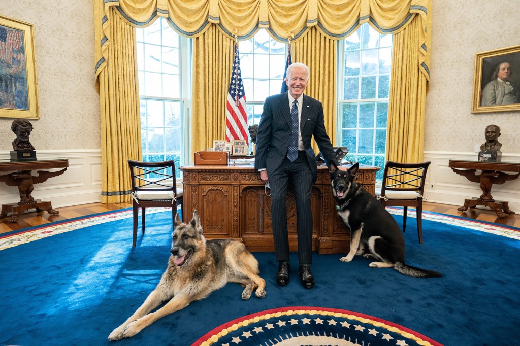 Präsident Joe Biden posiert am 9. Februar 2021 mit seinen Familienhunden Champ und Major.