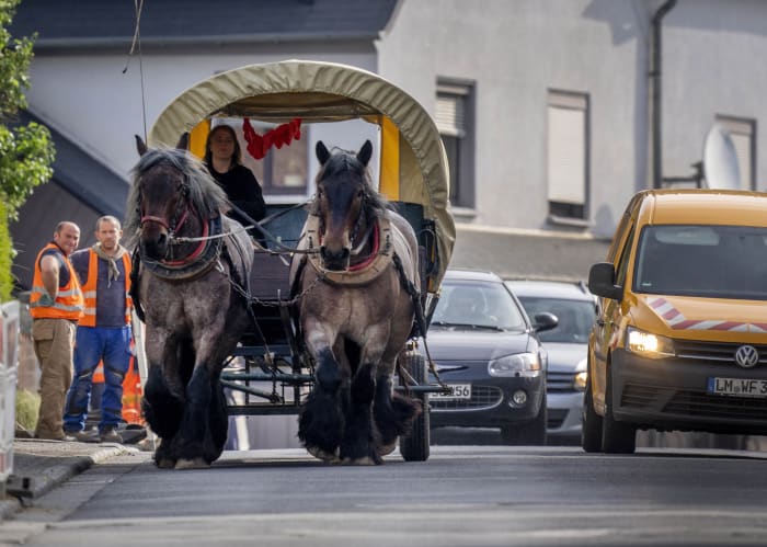Deutscher Farmbesitzer spart Sprit mit Pferdekutsche