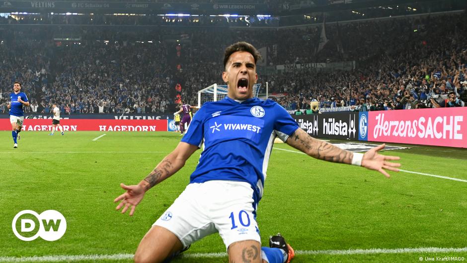 Schalke auf Anhieb wieder in der Bundesliga |  Sport |  Deutscher Fußball und wichtige internationale Sportnachrichten |  DW