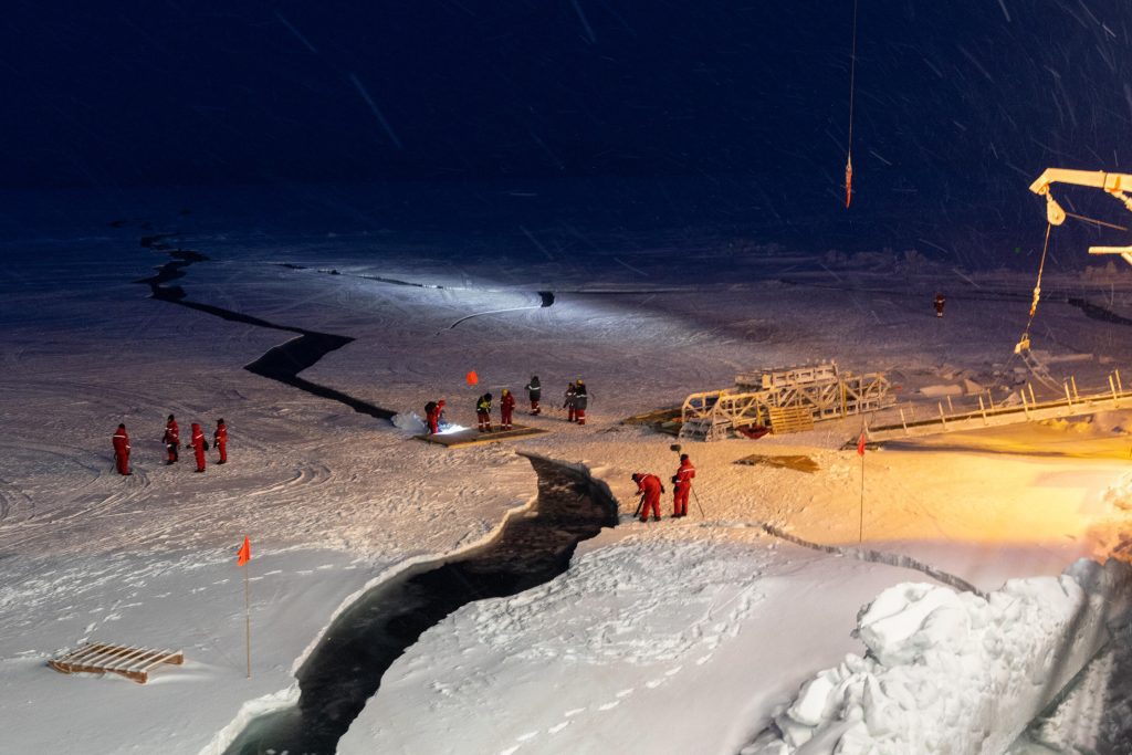 Neuer Datensatz enthüllt biologischen „Schatz“ im Arktischen Ozean
