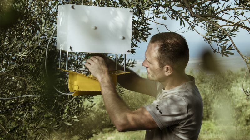 Trapview: Kann eine KI-betriebene Insektenfalle ein Schädlingsproblem im Wert von 220 Milliarden US-Dollar lösen?