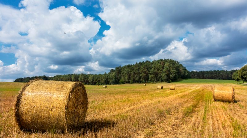 Deutsche Medien beleben Debatte über „unfaire“ Verteilung von EU-Agrarsubventionen – EURACTIV.de