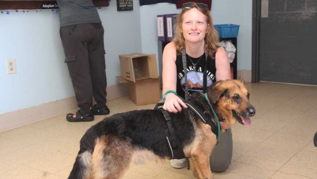 Frau fährt von Georgia nach Ohio, um einen Deutschen Schäferhund zu adoptieren